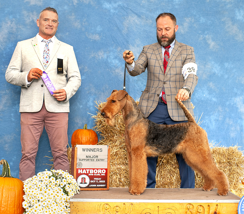 Joval On Wings of Light